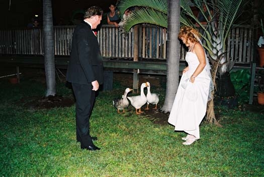 AUST QLD Mareeba 2003APR19 Wedding FLUX Photos Azure 079